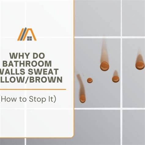 Why Do Bathroom Walls Sweat Yellow Brown How To Stop It The Tibble