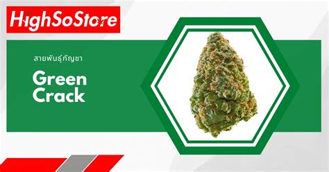 Green Crack Highsostore