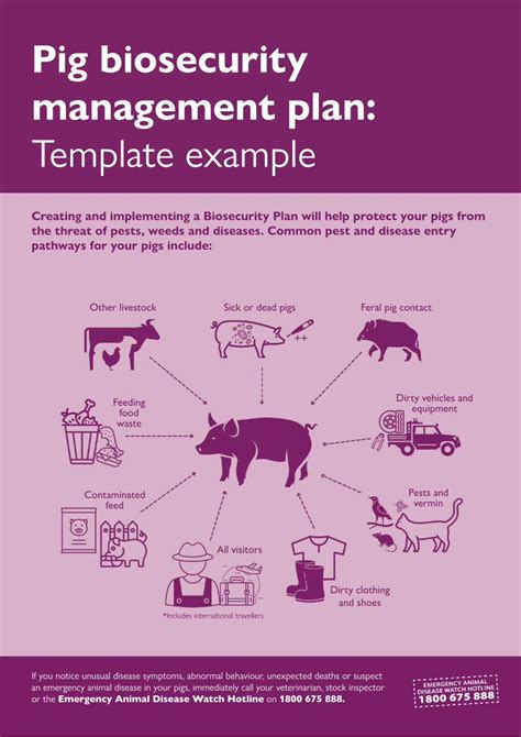 Pdf Pig Biosecurity Management Plan Dokumen Tips