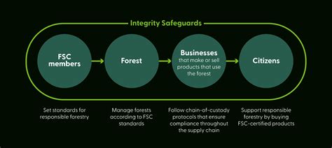 How The Fsc System Works Forest Stewardship Council