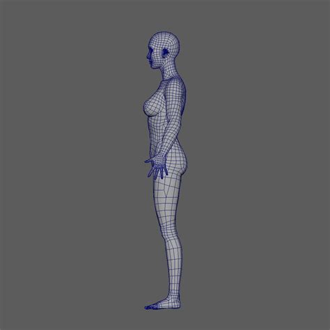 Female Basemesh 3d Model 9 Ma Obj Free3d