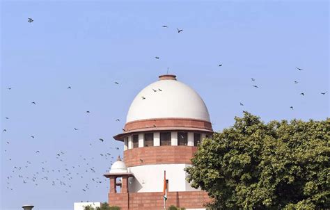 Tamil Nadu SC Slams Lawyers For Filing Plea To Declare Articles 20 And