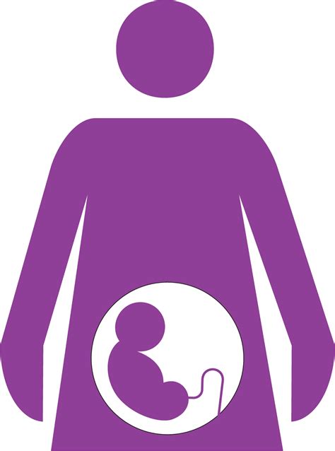 Pregnancy Woman Mother Pink Purple Png Image With Vector Graphics