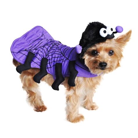 Dog Spider Dress Up Costume S M L Xl 2xl Pet Tarantula Halloween