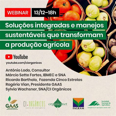 Agricultura regenerativa e manejo biológico favorecem produção em