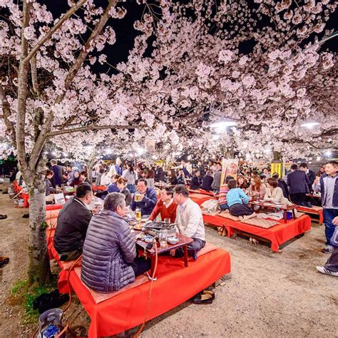 Cherry blossom etiquette in Japan | Cathay