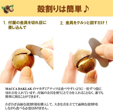 ナッツ マカデミアナッツ 殻付き 殻つきマカダミアナッツ 送料無料 200g X 1箱 殻割り器付き 【日本産】