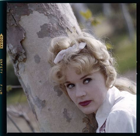 Lot Of 3 1960s Connie Stevens Original Photo Transparency Hawaiian