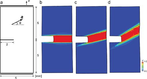 Pdf Hyperelastic Phase Field Fracture Mechanics Modeling Of The