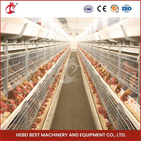 Bestchickencage H Frame Broiler Cages China Egg Laying Cage