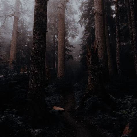 Samhuinn Botany - the terra mind