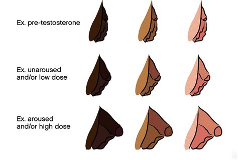 FTM Bottom Growth A Guide From Female To Male