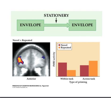 Memory Flashcards Quizlet