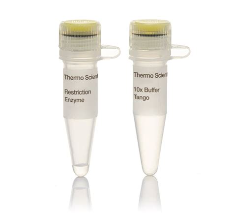 Thermo Scientific Hin I Hinp I U L U L U Ga Hz