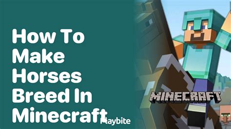 How To Make Horses Breed In Minecraft Playbite