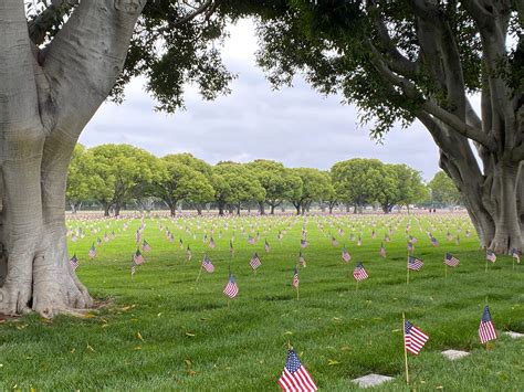 Lovely morning at the Los Angeles National Cemetery : LosAngeles
