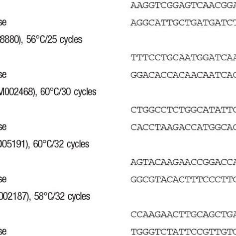 Primer Sequences Sequence Accession Numbers Annealing Temperatures