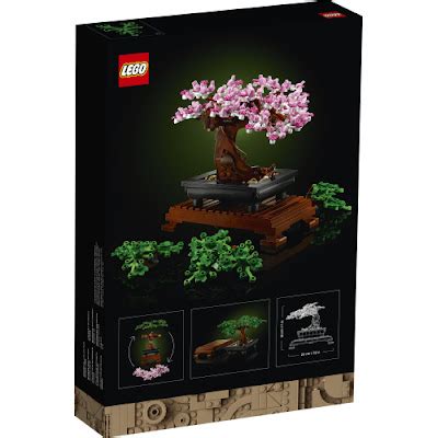 LEGO Botancial Collection - Bonsai Tree and Flower Bouquet Review - TheWackyDuo.com - Singapore ...