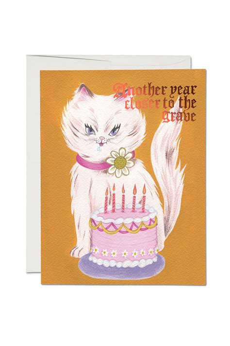 Kitty and Cake Birthday Card - ShopperBoard