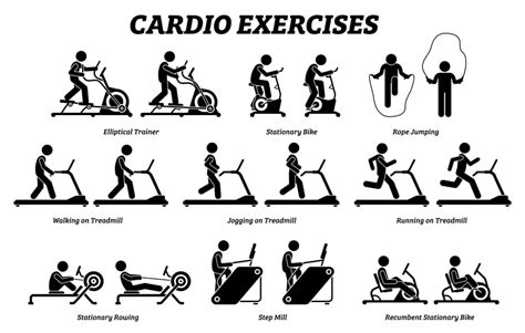 Why Is Cardiovascular Exercise Important Learn More