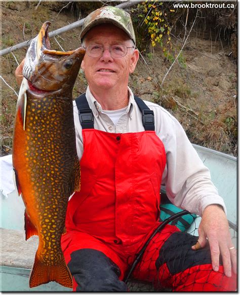 Brook Trout Biology