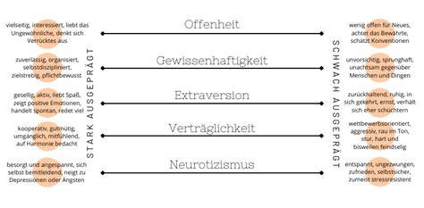 Charaktereigenschaften Diese Merkmale Solltest Du Kennen