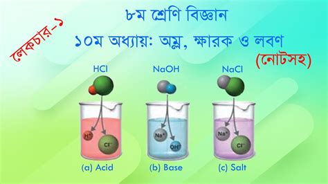 Jsc Science Chapter 10 অম্ল ক্ষারক ও লবণ Acid Base And Salt Lecture 1 Youtube