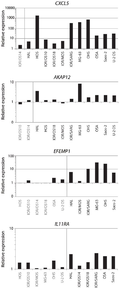 Gene Expression After Demethylation Treatment Relative Gene Expression