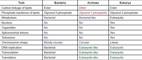 Microbiology Exam Diagram Quizlet