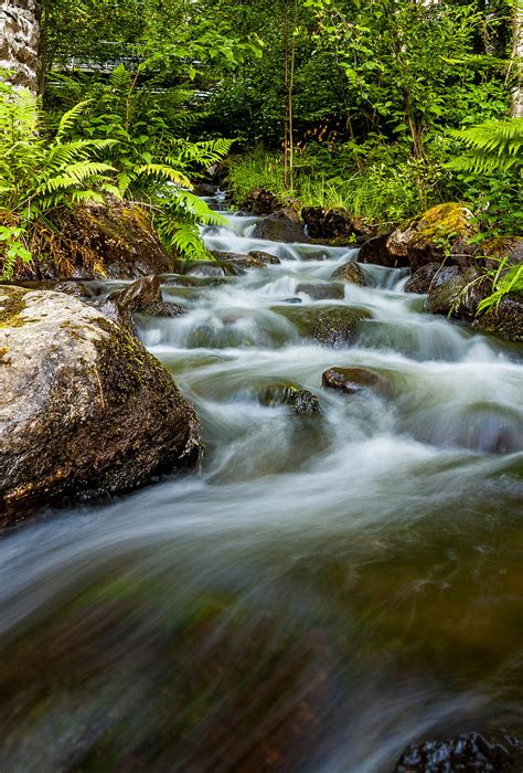 Waterfall Stones Stream Fern Hd Phone Wallpaper Peakpx