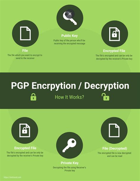 Infographics PGP Techooid