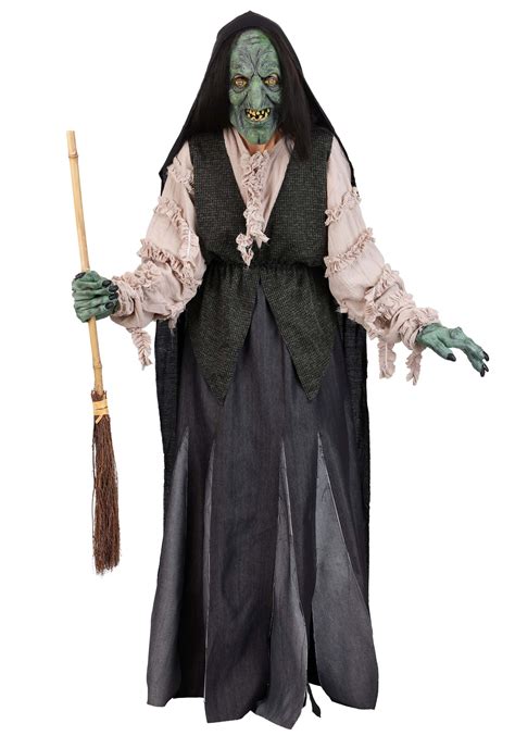 Adult Premium Evil Green Witch Costume | Adult Witch Costumes