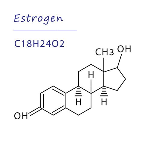 Premium Vector Chemical Structure Of Molecule Estrogen Female Sex Hormone Estrogen Formula