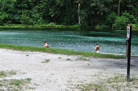 Back to gallery/Alexander Springs Campground - Ocala National Forest ...