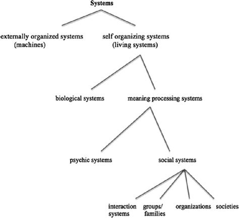 Typology Of Systems According To Niklas Luhmann Download Scientific