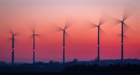 Nabu Kritisiert Mangelnden Artenschutz Bei Windkraft Ausbau