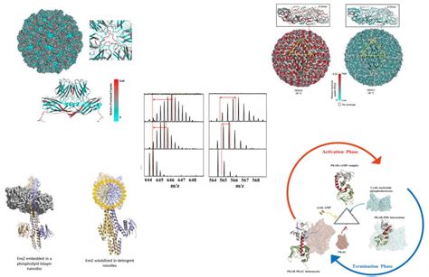 Anand Lab Integrative Structural Biology Lab