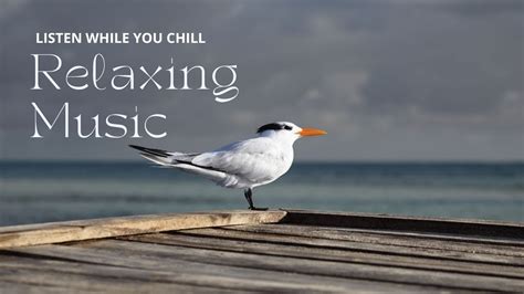 The Best Relaxing Piano Music To Focus Work And Ease Your Mind