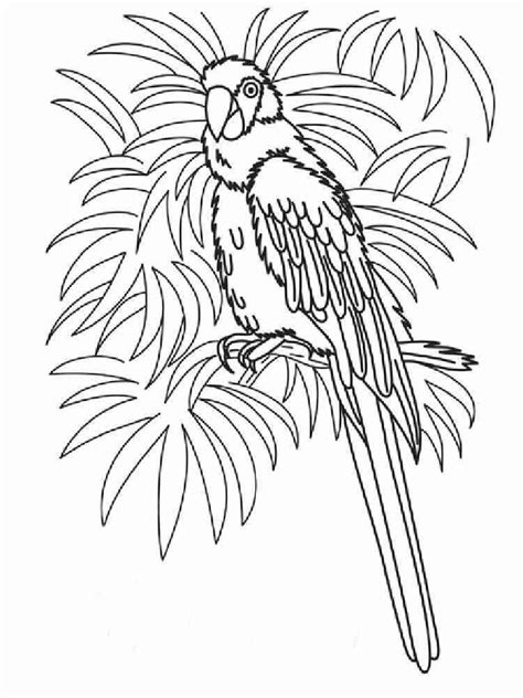 Macaw Coloring Pages