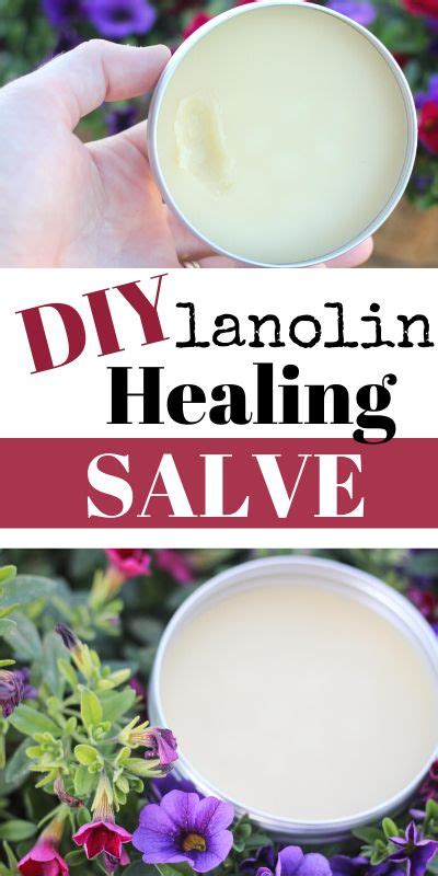 DIY Lanolin Healing Salve Salve Recipes Healing Salve Recipe