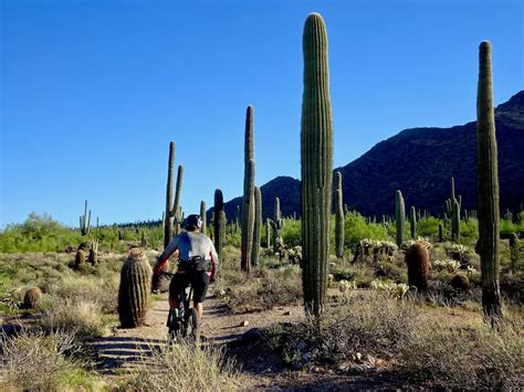 12 Free Activities To Experience In Mesa | QuartzMountain