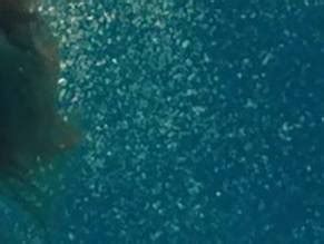 CAFE DE FLORE NUDE SCENES AZNude