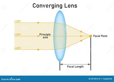 convex  converging lens  light behavior stock illustration
