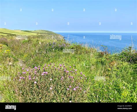 The Beautiful Rugged Coastline Of The Isle Of Man Stock Photo Alamy