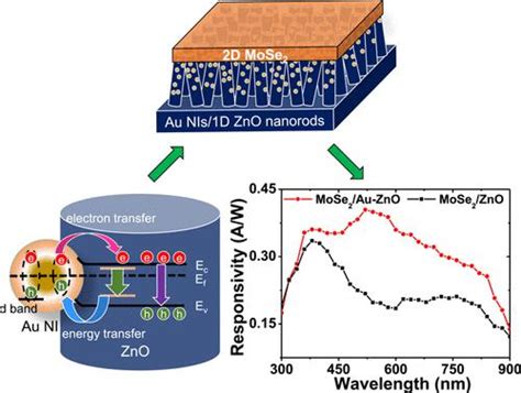 等离子 Au 纳米岛对 MoSe2 纳米薄片 ZnO 纳米棒异质结构的协同效应增强宽带光响应 ACS Applied Nano