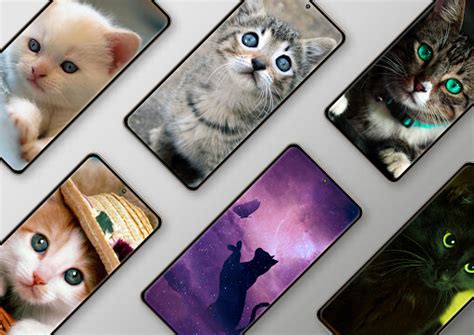 Cat Wallpapers HD for PC / Mac / Windows 11,10,8,7 - Free Download ...