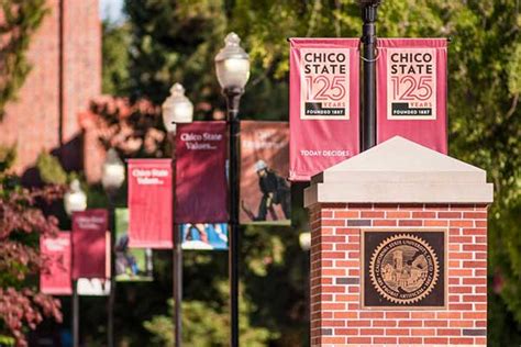 Division Of Business And Finance Chico State