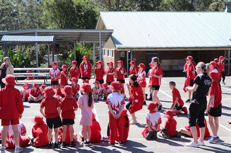 Home St Georges Basin Public School