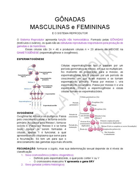 Gônadas Masculinas E Femininas - O Sistema Reprodutor Masculino e Feminino: Gônadas, Gametogênese e ...