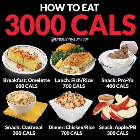 5 day meal plan 3000 calories - Delta Hacker